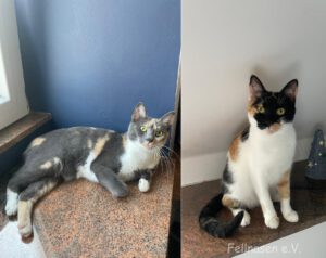 TIYANA&TRIXIE_09.04.2024