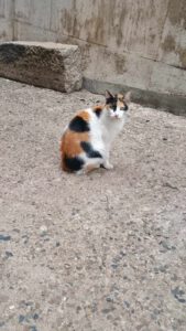 Flora & Mira_03.2023