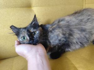 JANA_01.08.2024