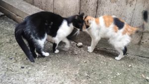 Flora & Mira_03.2023