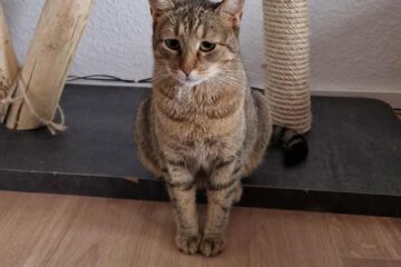 MARINA_08_2023