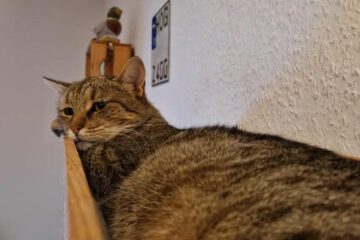 MARINA_08_2023