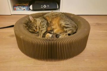 MARINA_08_2023