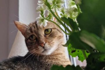 MARINA_08_2023