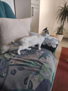 ZANA_05.2025
