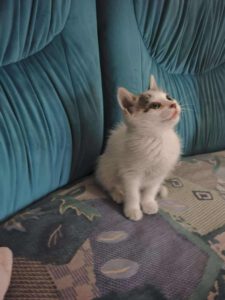 ZANA_05.2025