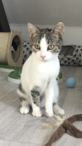 Margo_09.09.2024