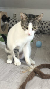 Margo_09.09.2024