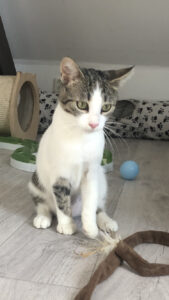 Margo_09.09.2024