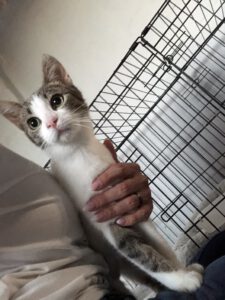 Margo_09.09.2024