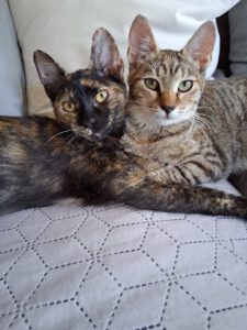 LILLI & LARA_01.05.2025
