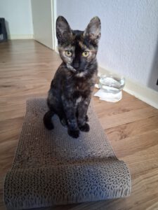 LILII_01.05.2025