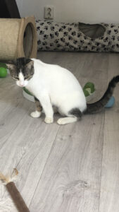 Margo_09.09.2024