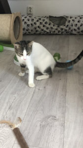 Margo_09.09.2024