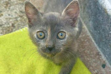 Kira_april25_1
