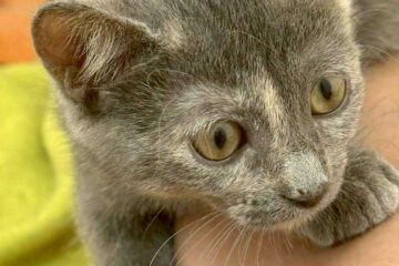Kira_april25_10