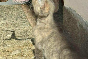 Kira_april25_3