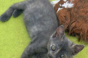 Kira_april25_4