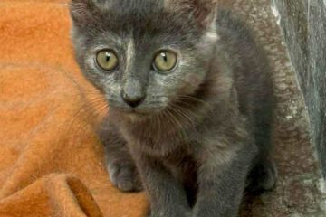 Kira_april25_5