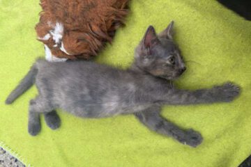 Kira_april25_6