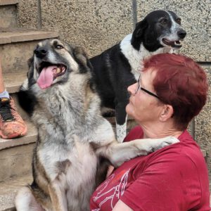 Kora_2016_12