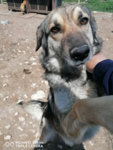 Kora_2016_21