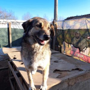 Kora_2016_22