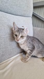 KIWI_20.04.2025