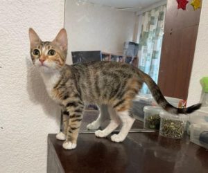Mitzi_30.04.2025