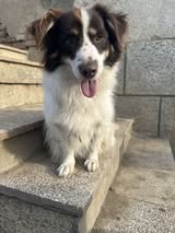 Tibo_sep22_9