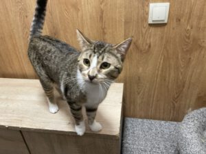 Tommi_märz24_2