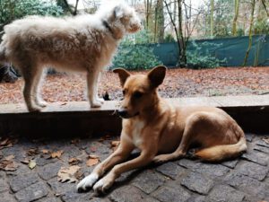 alisha_märz21_1