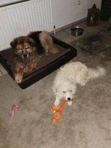 alisha_märz21_19