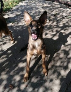 alja_apr21_12
