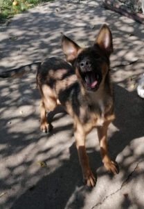 alja_apr21_15