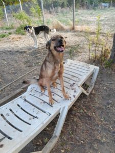 alja_apr21_16