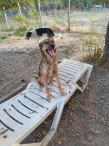 alja_apr21_17