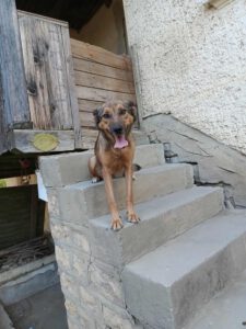 alja_apr21_18