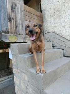alja_apr21_19