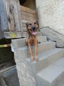 alja_apr21_21