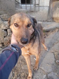 alja_apr21_6
