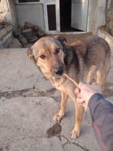 alja_apr21_8