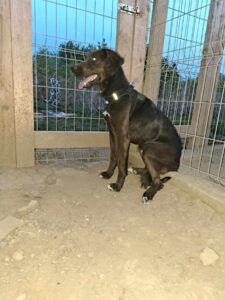 bear_apr21_10