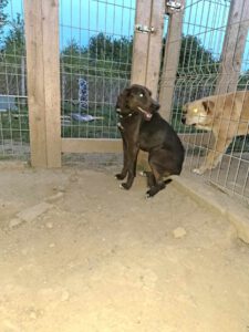 bear_apr21_9