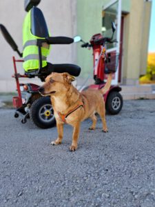 ivas_Sep20_27