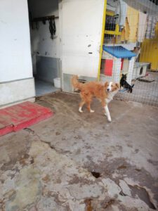 jerry_dez19_16