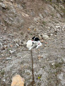 kelly_Nov21_3