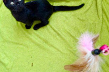 kira_zack_april25_2