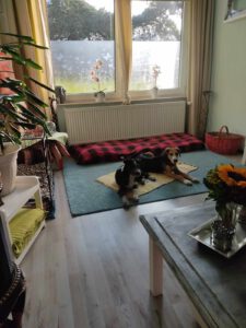 kiyan_feb24_5