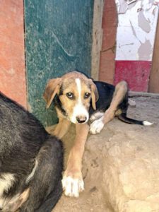 kiyan_feb24_6